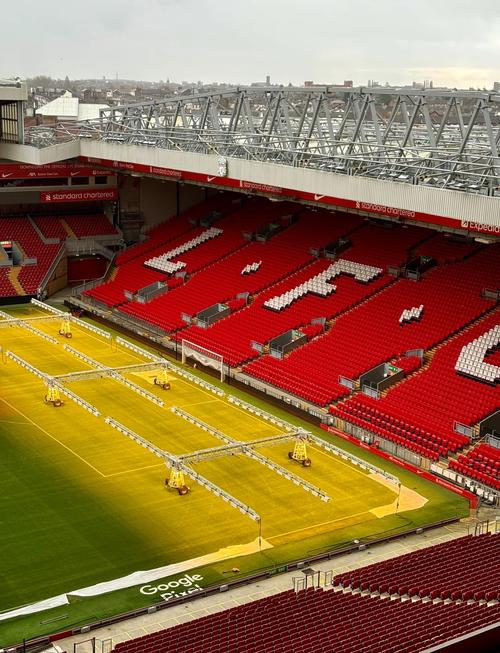 他真的进化 他真的进化